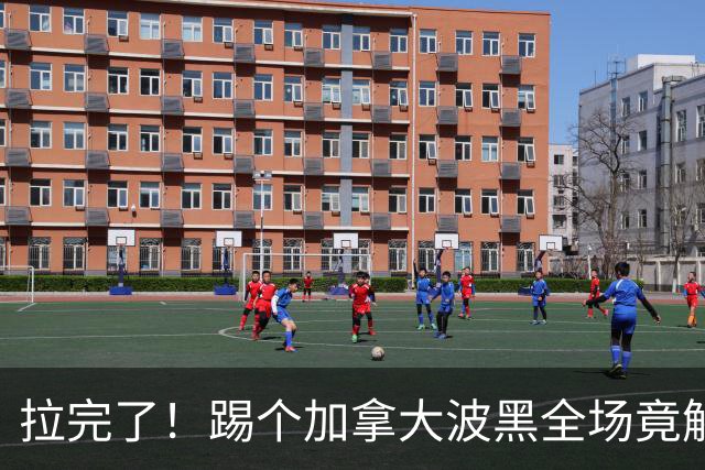 拉完了！踢个加拿大波黑全场竟解围71次 史上第四尴尬